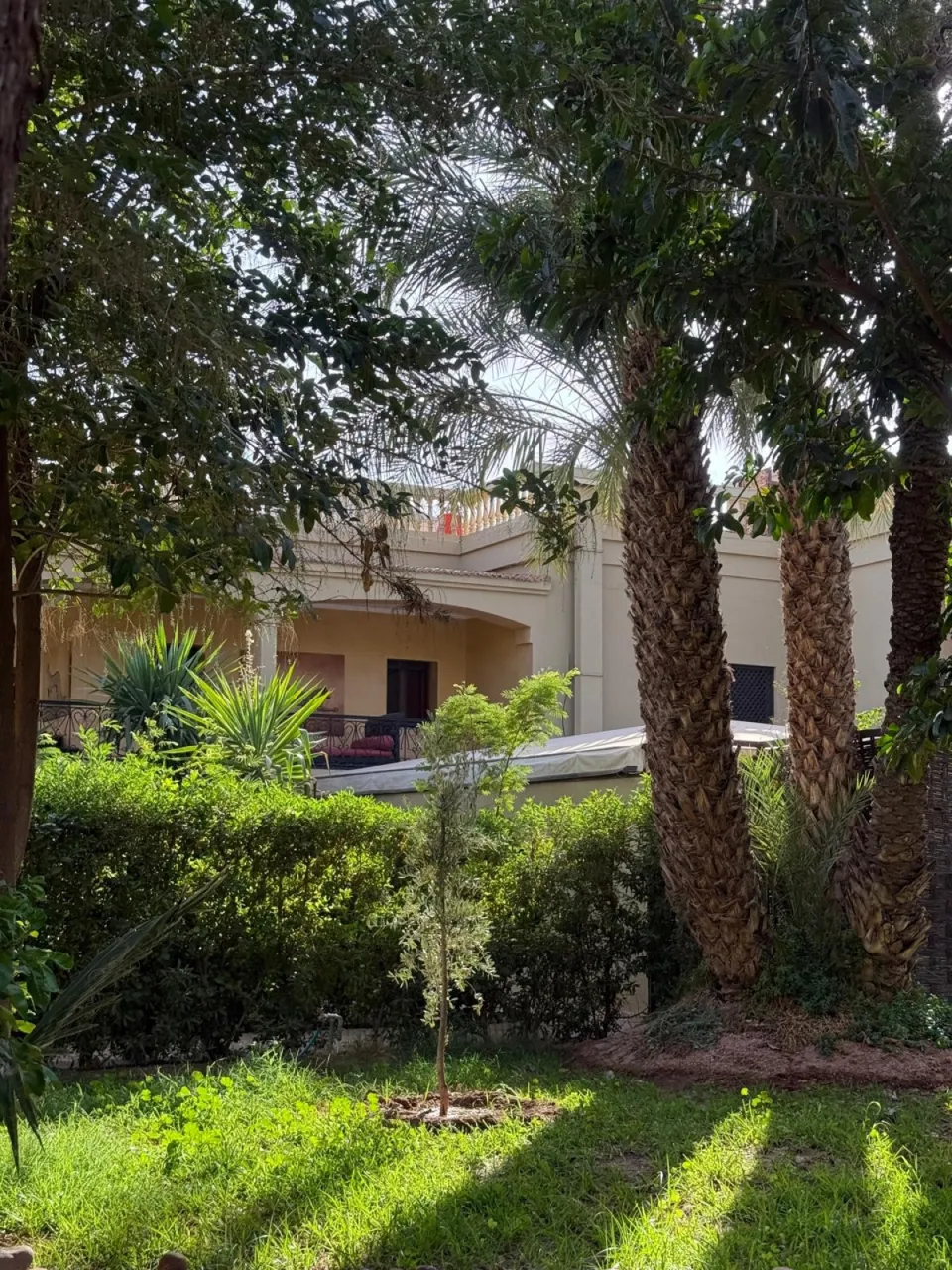 Back façade of the palace seen from the palm garden