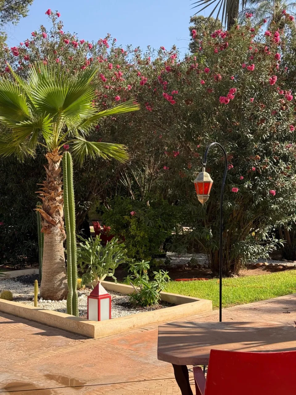 The garden in bloom with Moroccan lanterns