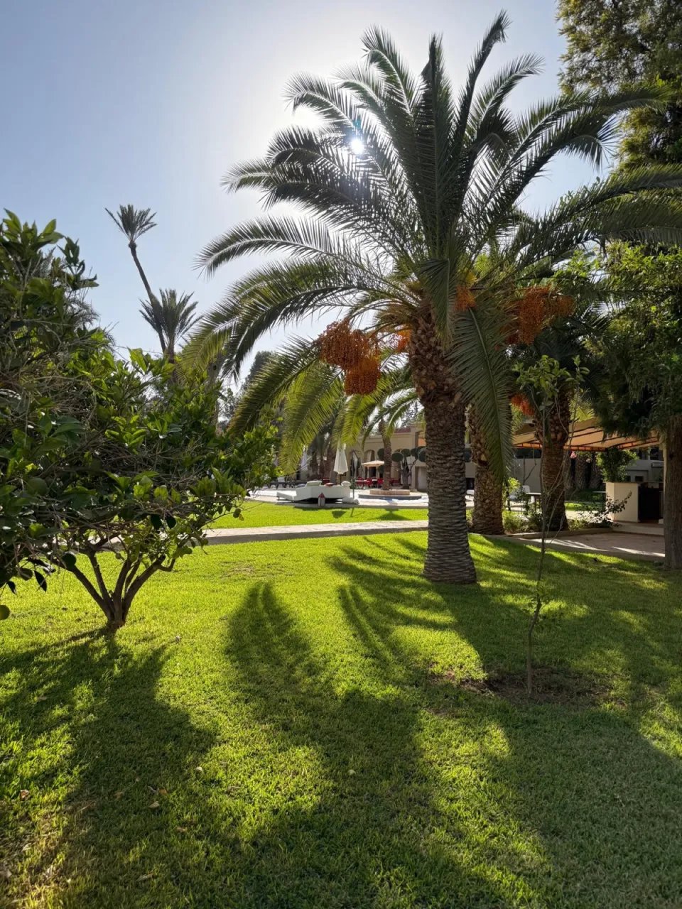 Lawns, palms and orange trees of the 11,000 m² park